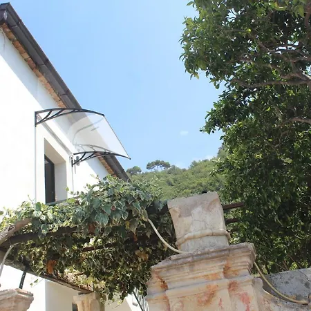 Apartment Conicea's House *